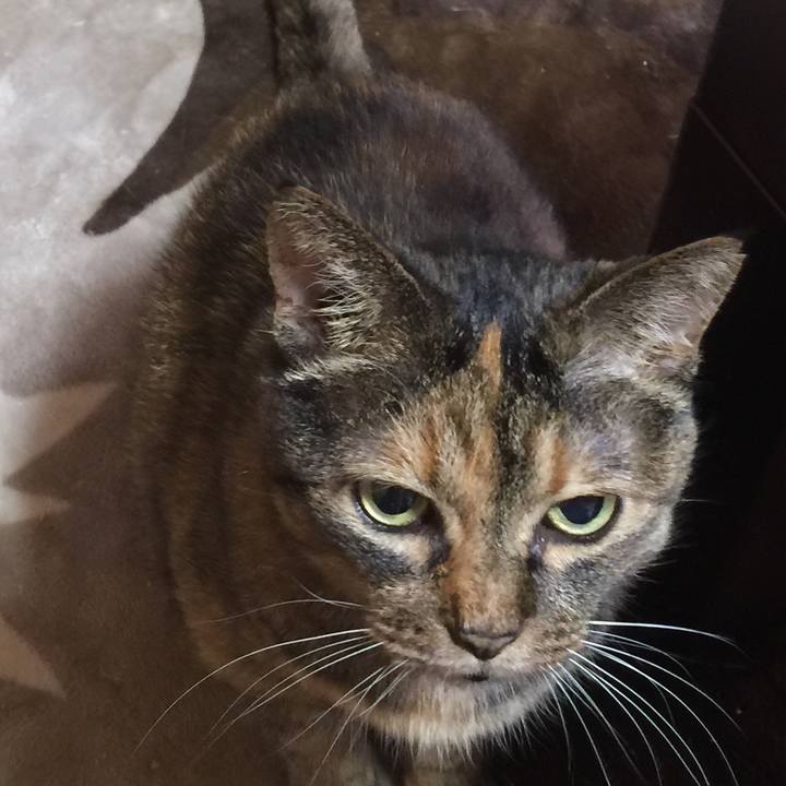 C86f8310 0d3f 4112 8ea1 a69e62affb22