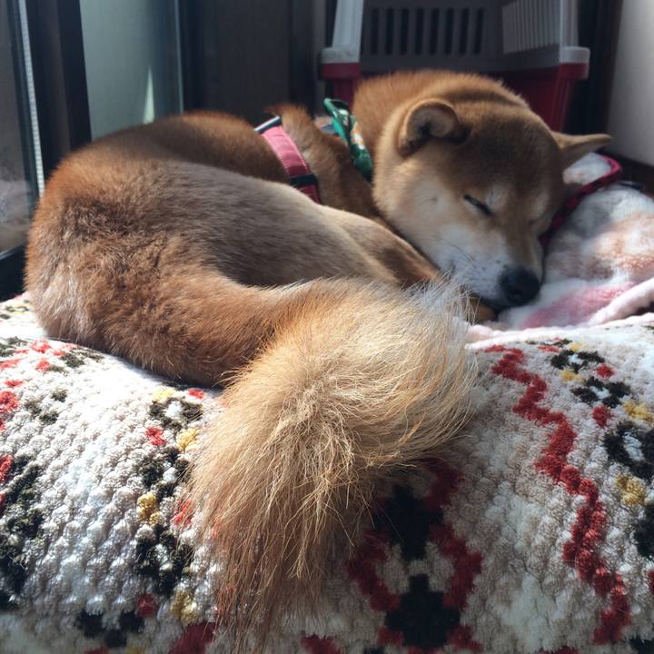 C86fdafe f14f 4c63 b1d6 f67e0d6be2f7