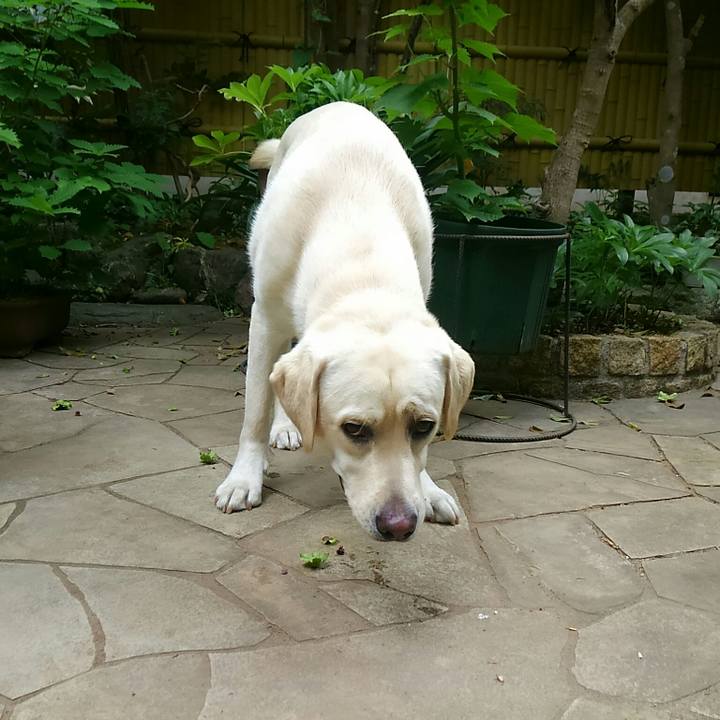 C87035e3 4925 48a2 ab1b 638c7be618da