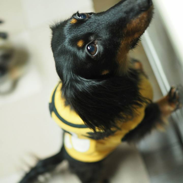 C8706c7e 00de 404c a297 4e0808af53fb