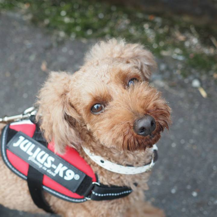 C870d528 15e5 4621 abee 6c096f289379