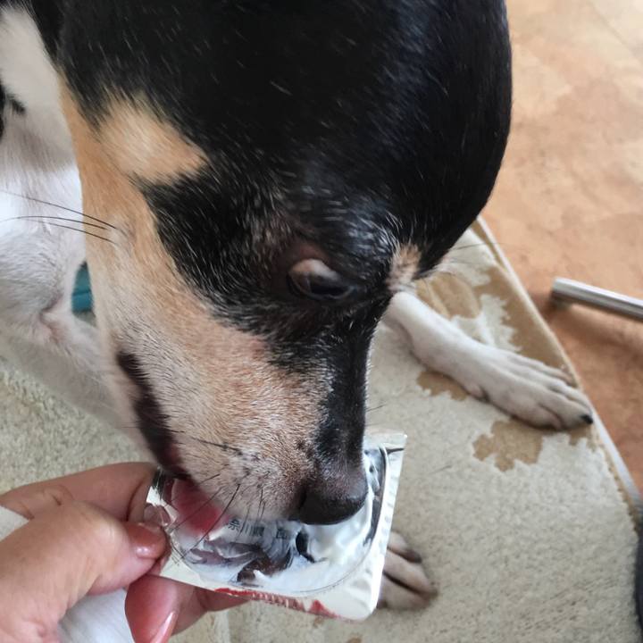 C871438e a9bb 45d8 bfde be297a6b6d4c