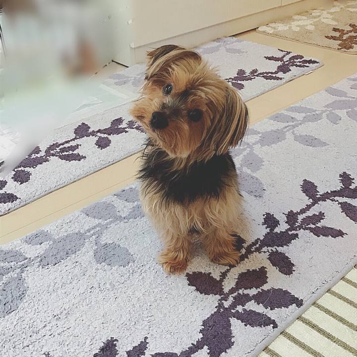 C872a4d2 bc12 4d5d 8ba1 8b8d7608af3f