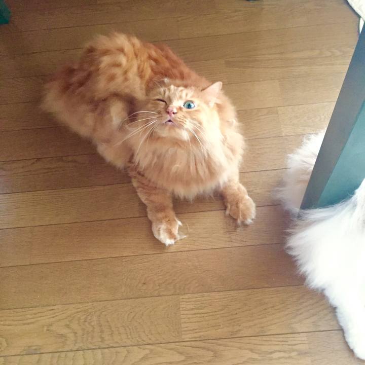 C872abe4 8e59 4394 b40c 510abb2844ed