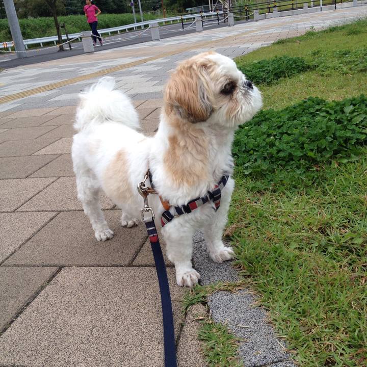 C872c5cf a495 4d37 9290 7cef301186d3