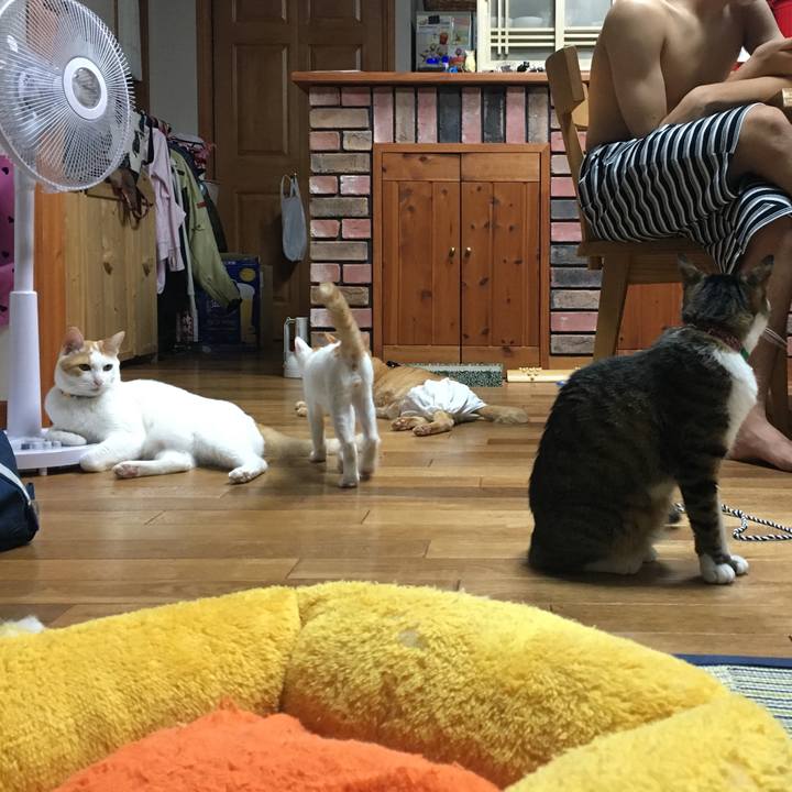 C8732805 14e0 404a 99ac 601b18913d2b