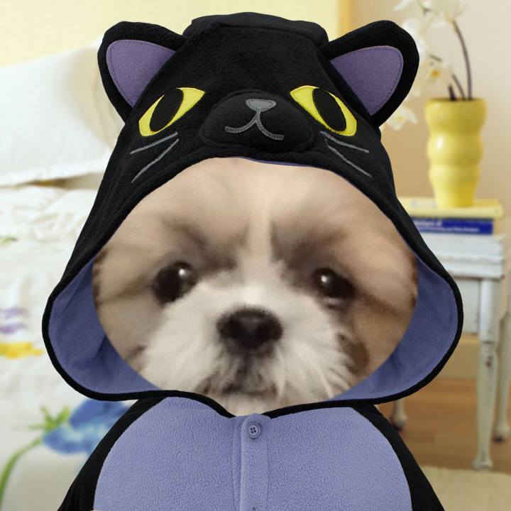 C87446dc 5133 45a3 8b50 c8daf8826fb0