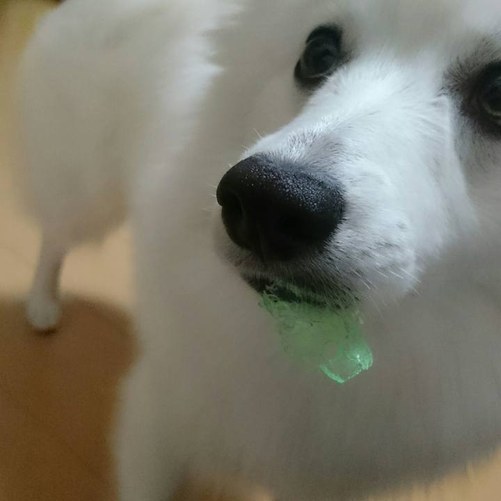 C8748b34 26bc 4bd8 aeb3 ecb3bcb39986