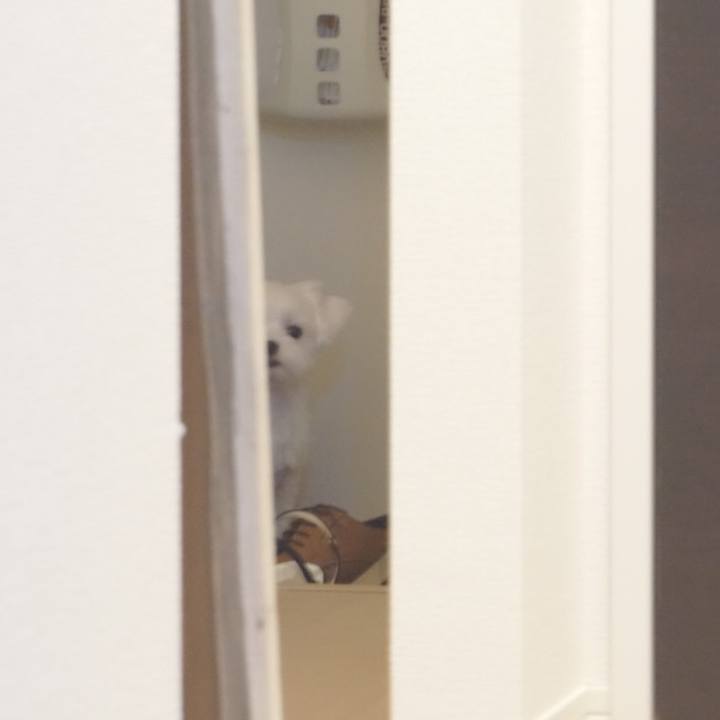 C8748dc0 1d27 4edc a41e c1c455978ce8