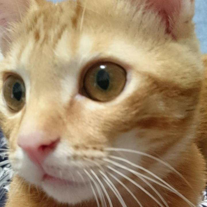 C8753a3a 27bd 495d 8fba 72d377641f50