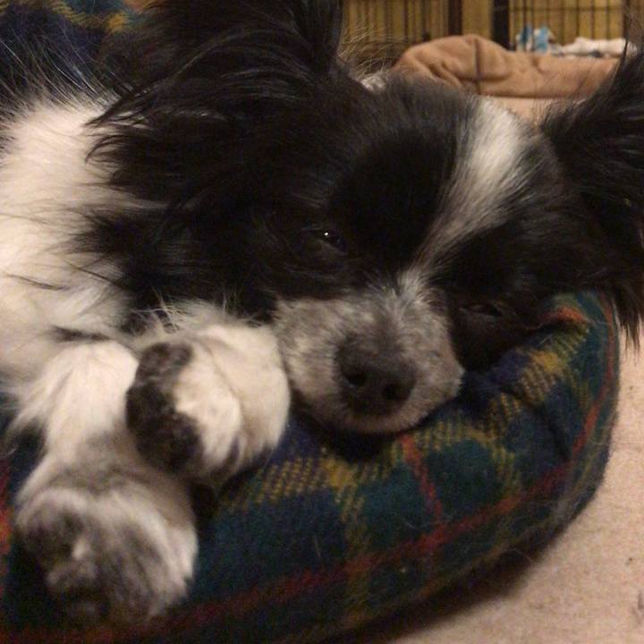 C8754eb7 68dd 452f b348 85098262ca31