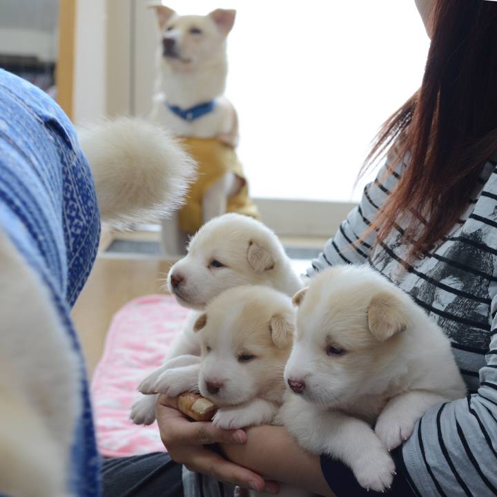 C8756494 ad41 4725 b346 45f95c34a749