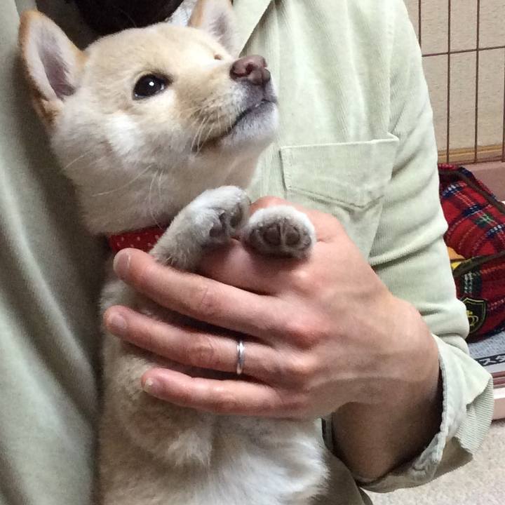 C875c2d4 3f5b 49db 984a 662377b82d3e