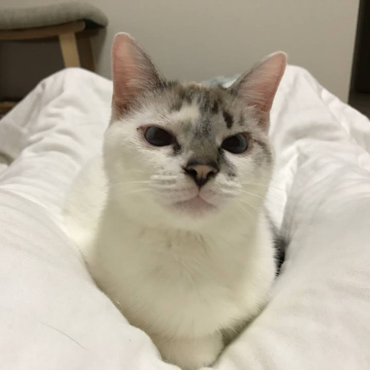 C875eb69 59b6 46d4 aef5 aea3e349fb72