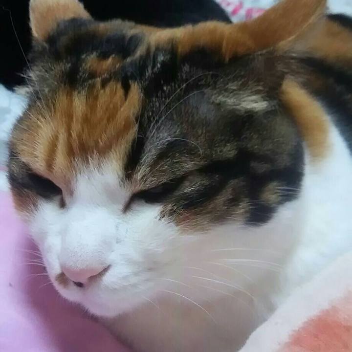 C876223a d8c7 429d 906d 46dc6c301ac6