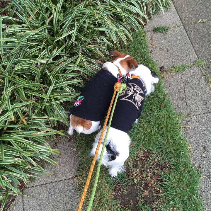 C8768487 4c5f 499f b6bf 06fdc0075698