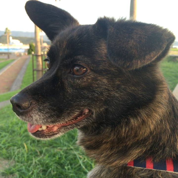 C876acfb 53bb 4ad5 8110 812e3313592c