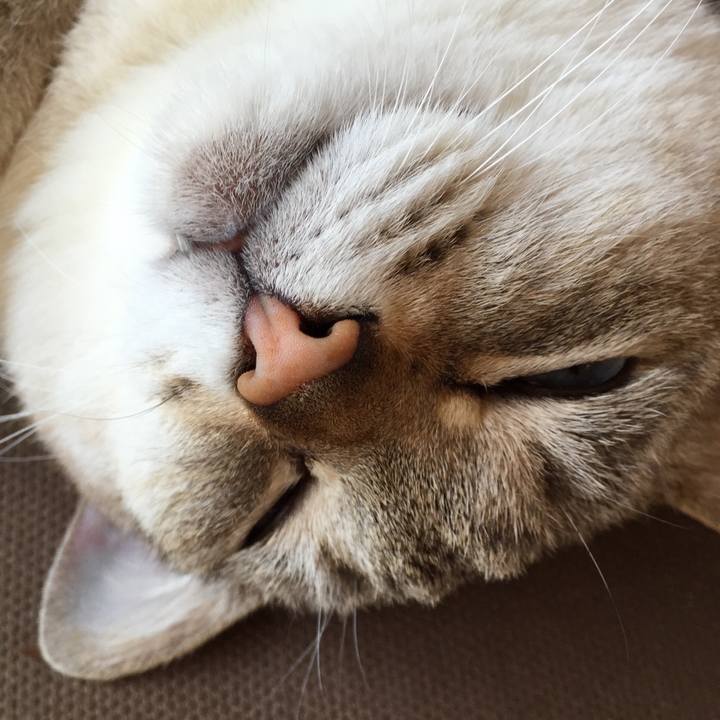 C876b27b 55c0 4a54 b5a3 e9e23cdee040