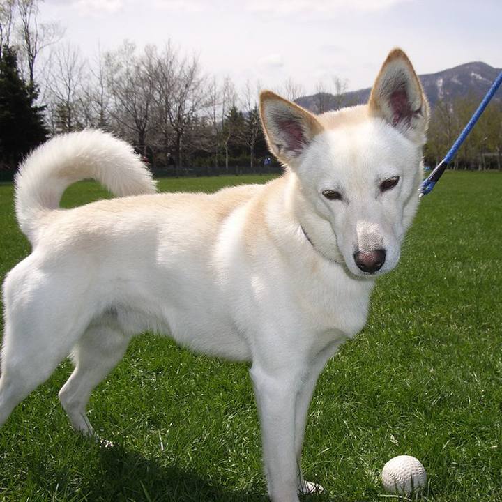 C876f1eb ab18 4c87 afca 7db0cb84ab48