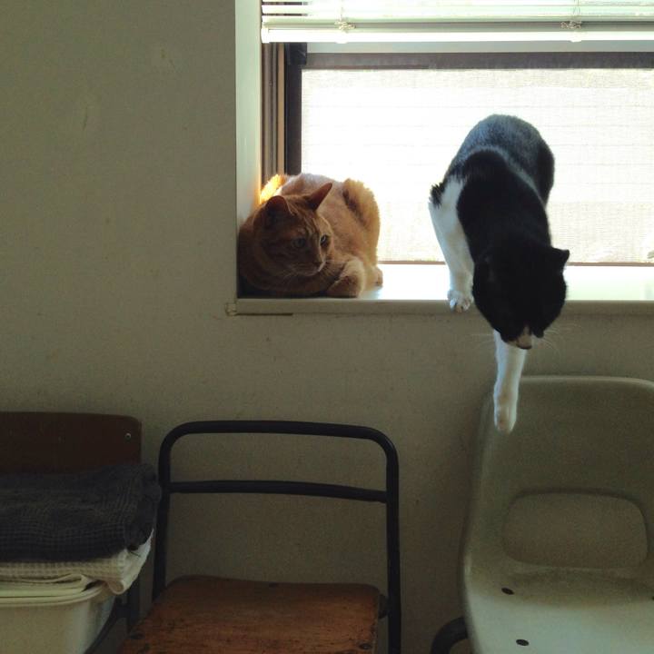 C8771059 c9a8 42a6 9aed 7692a47031a2