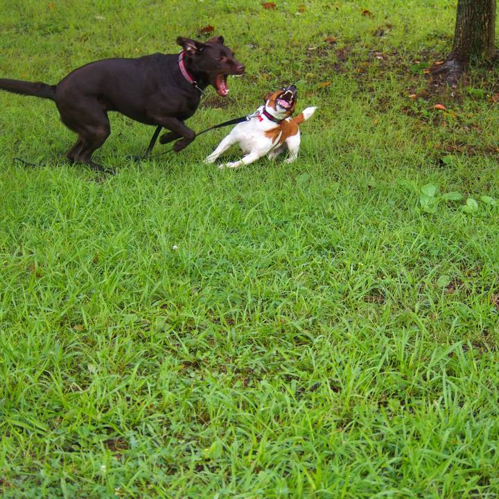 C87755a1 425b 4012 9bb5 47b525713969