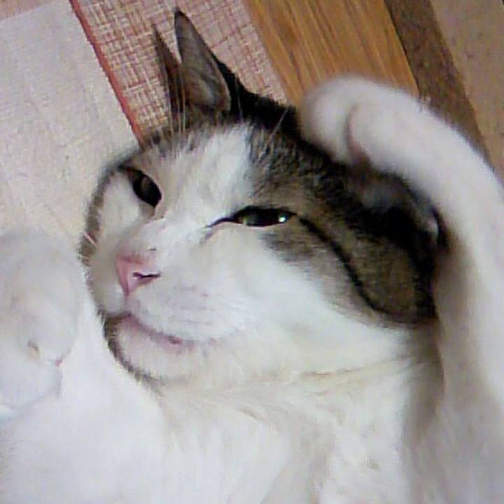 C87784cb f777 4467 84e8 f34b1863f0ea