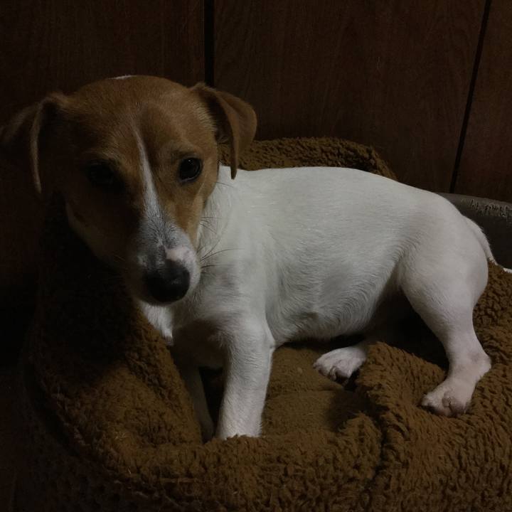 C8778f96 249c 4afb 9cb6 d2554364f84d