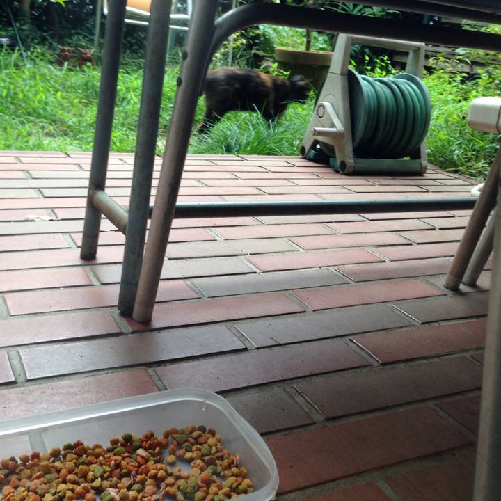 C877aac8 ede6 4635 a05a 432b41ee50af