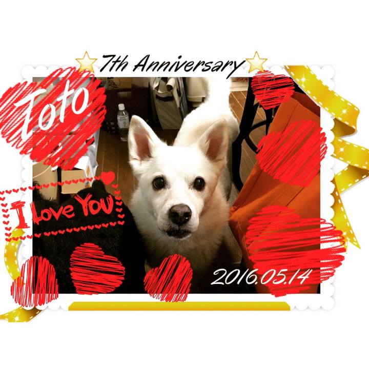 C8784ffe 1010 4555 85bd 38e3dbd2b35a