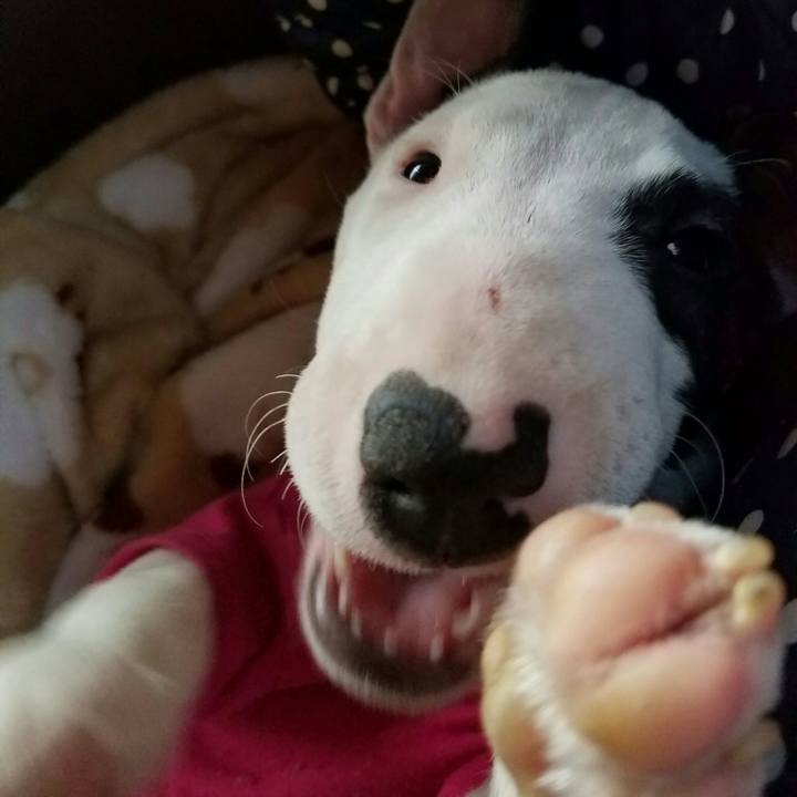 C87989dc f1a6 495d b797 1c23ce0dff33