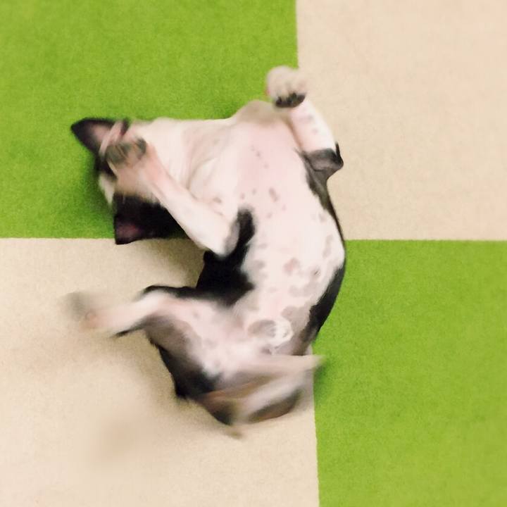 C8799bc3 eee0 414c 8ccd b5007df76203