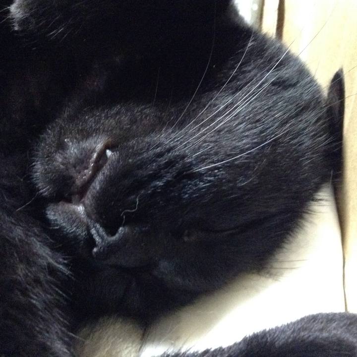 C87a72d6 bca6 425e 9234 db7ac4489254