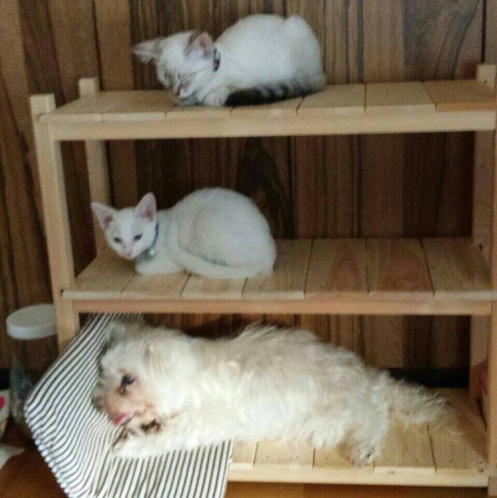 C87a91a2 8dc7 4b2a 8b76 d39daada33e9