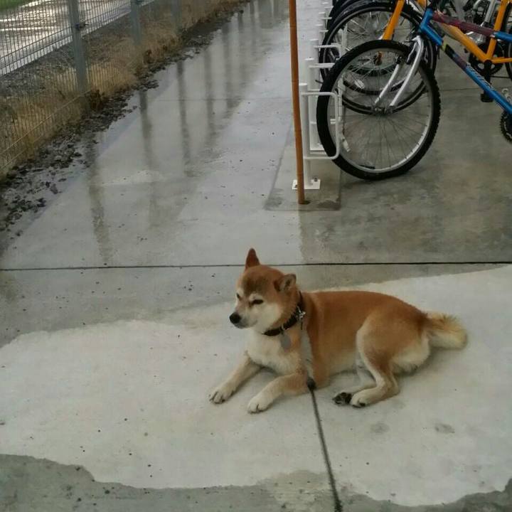 C87aac51 4430 4c24 bee1 16f50880731f