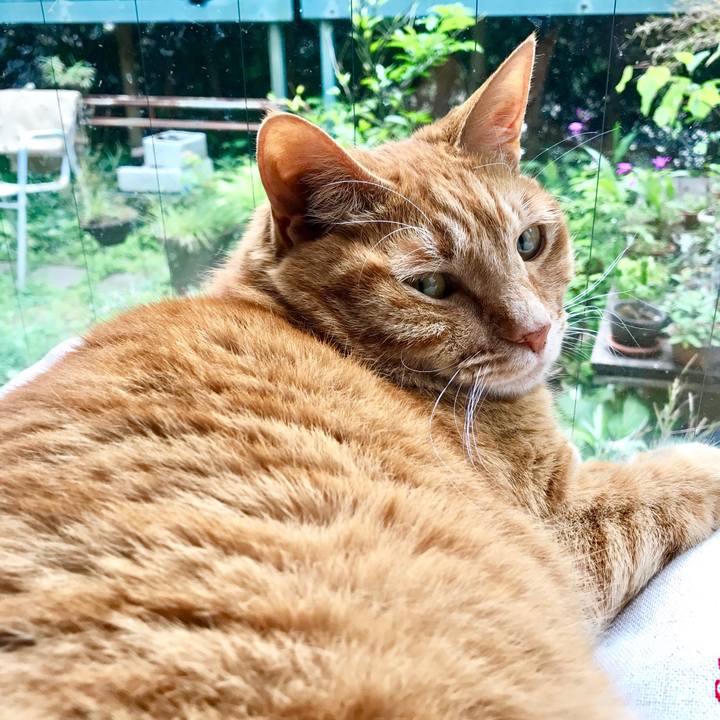 C87b269b 1637 4fed a36f 21b41d68d341