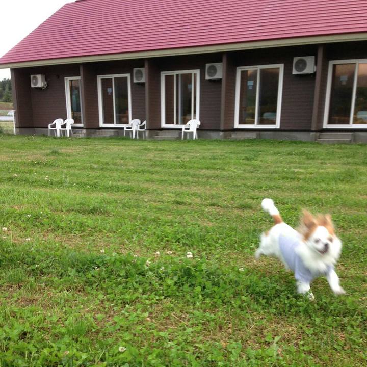 C87b8ce7 b15c 4153 8d2e fcb75d8f664f