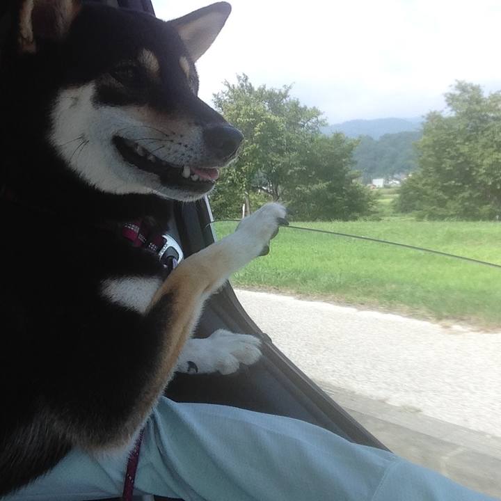 C87ba3b7 6682 4e06 b452 6cf1deef4e82