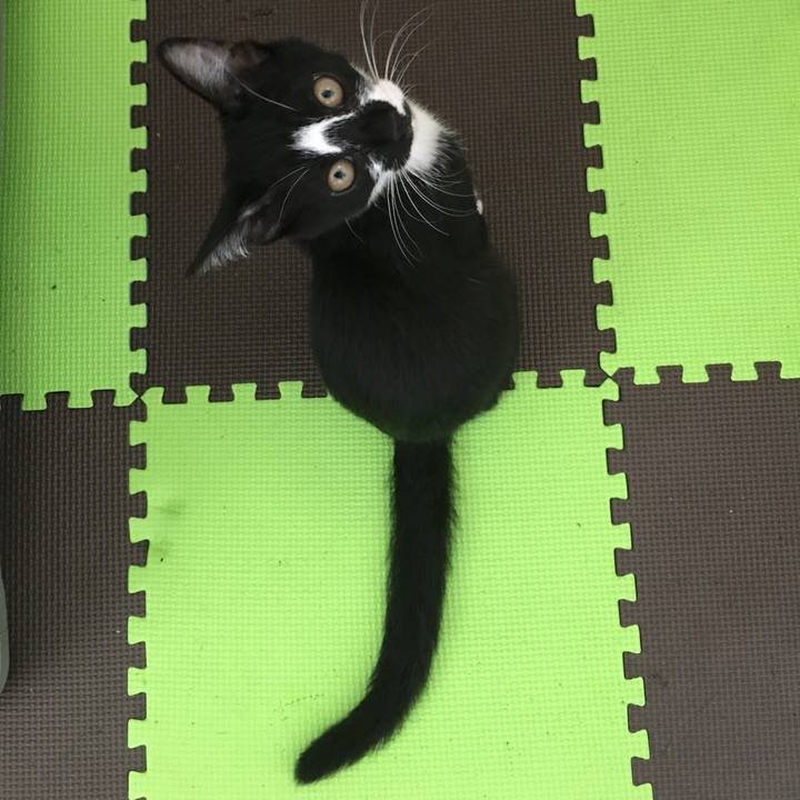 C87bbad1 f460 45ac a896 057c1b14703f