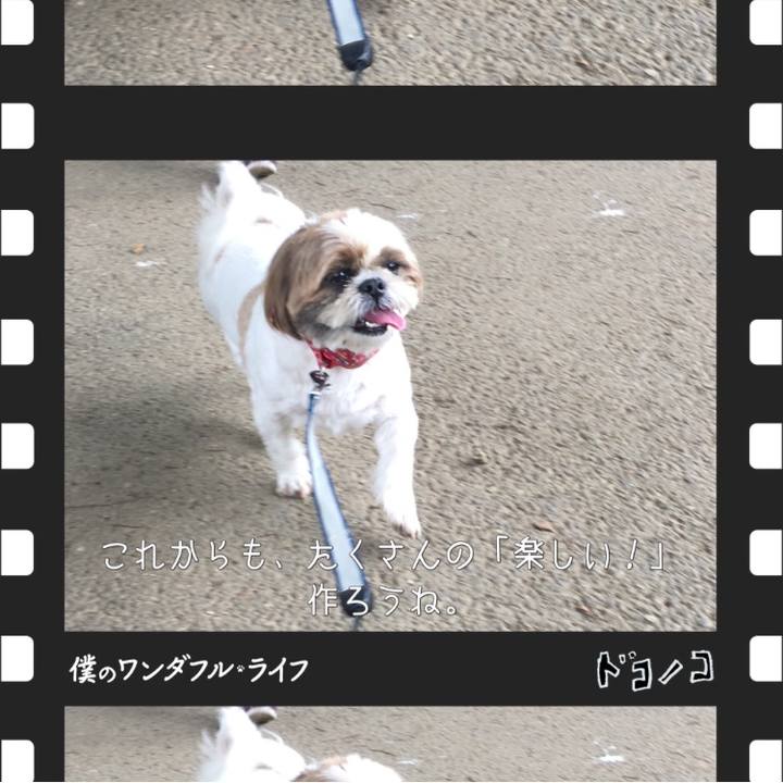 C87c6c2e 493a 4423 a225 89d0fb03889a