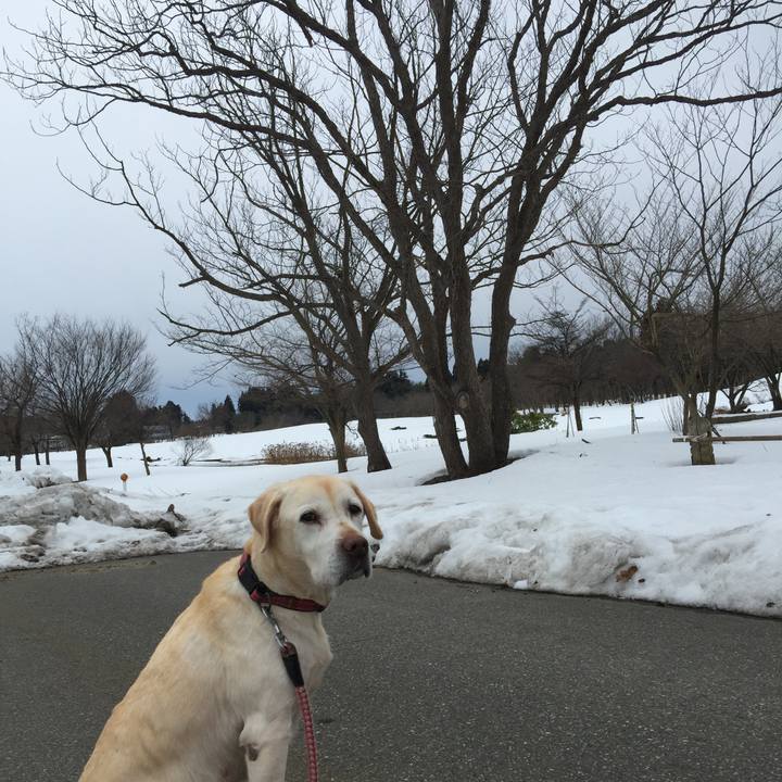 C87d02e4 92ec 467c a1ed de4a597a6a93