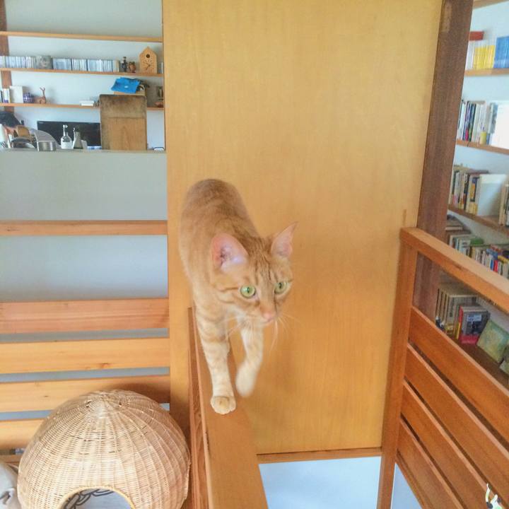 C87d55b0 b214 4fd5 81af e0ebf99d3097