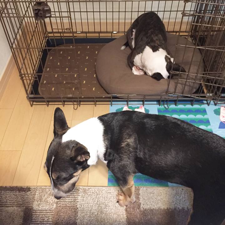 C87dd798 36b9 45dd b2d1 ecfb8a25b172