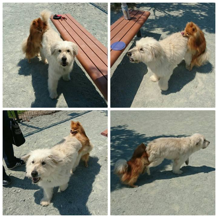 C87e0aef 493b 46cb 9153 4cabb1734cec