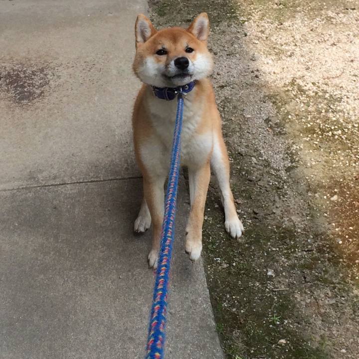 C87e7d4f 4381 4641 b34a aef5a0bd07d1