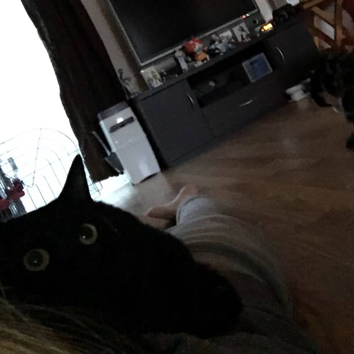 C87e9b2d 0fe9 4047 99a4 b3a52a177e33