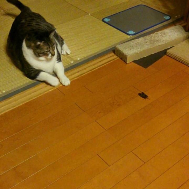 C87f1708 11cf 4eec 920c c51e47ae8037