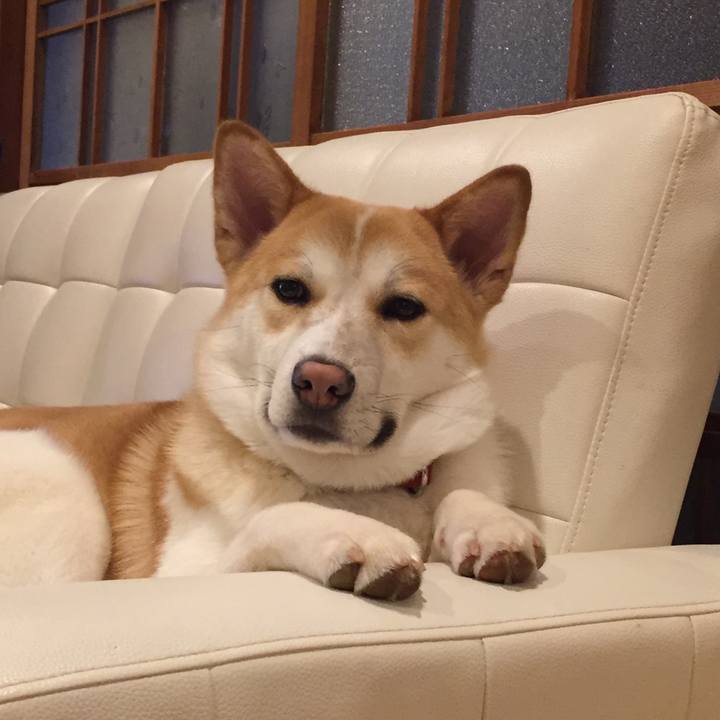 C87f5d70 8ea4 4db2 acb3 9f76f54a53d6