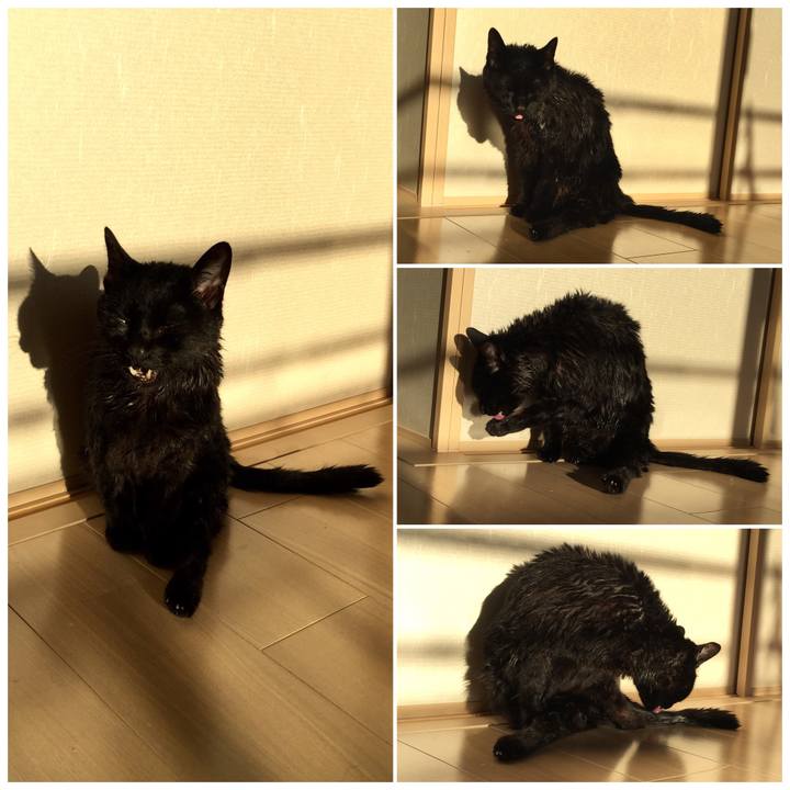 C87fafd5 29e0 497a a51e f66eaf8393a1