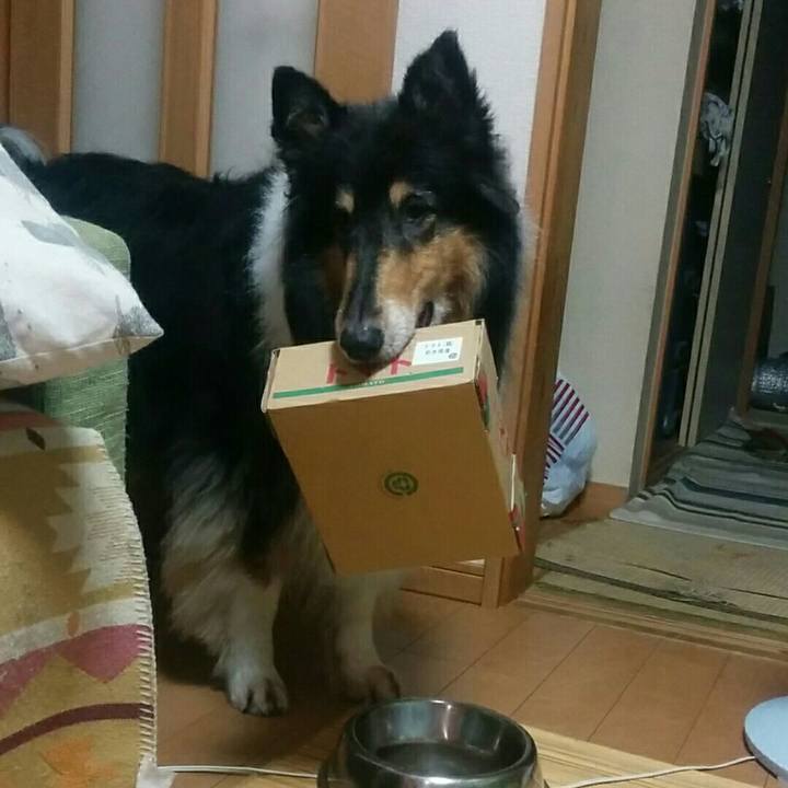 C87fcbbf dcc9 41f1 a20a 3da1bc7ee217