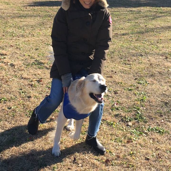 C8801529 fb12 4070 9fa8 a41214169856